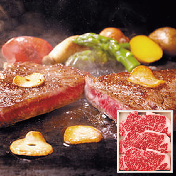 ` ㋍T[CXe[L (MAST200G)